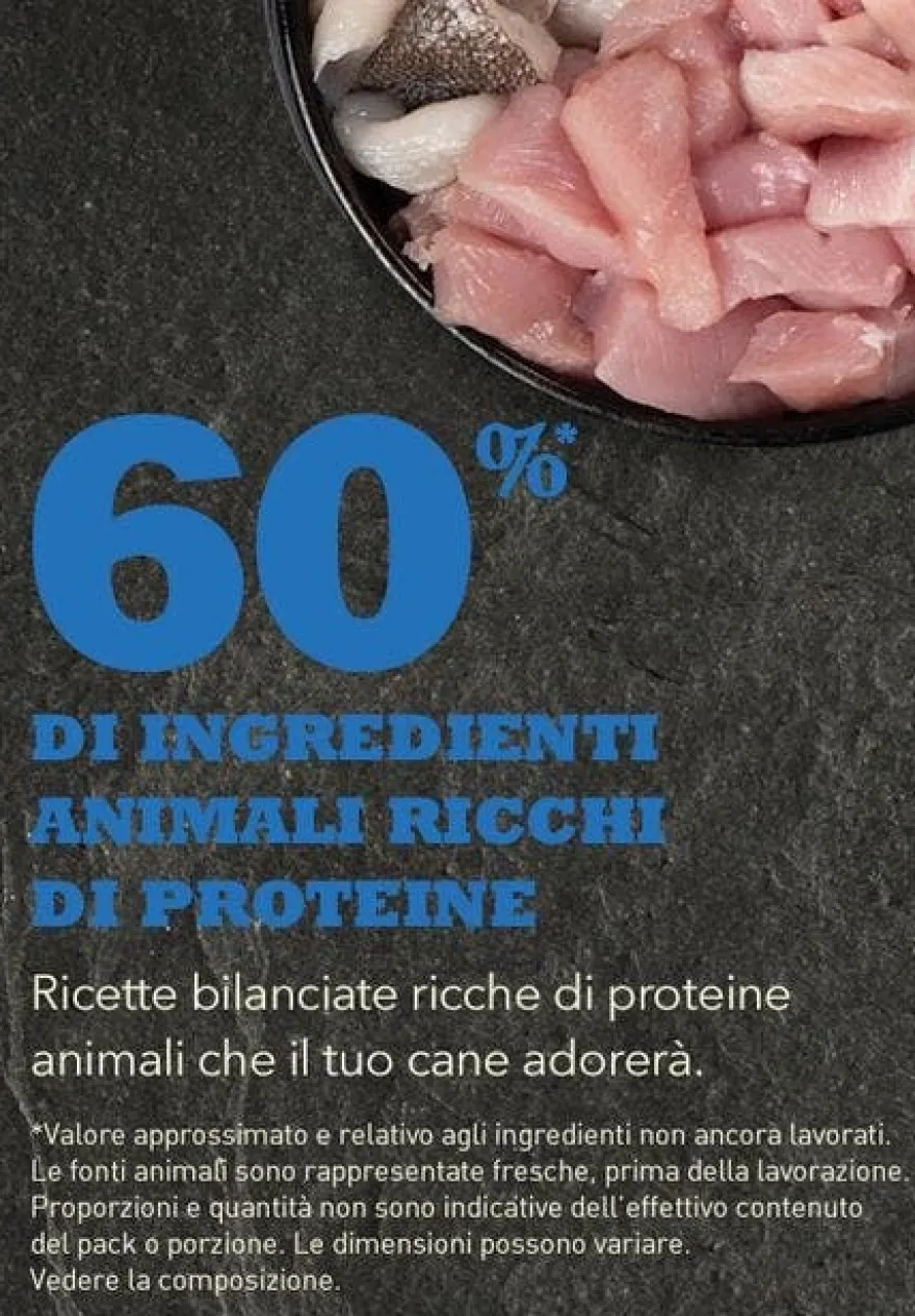 Acana Cane Adulto Recipe Crocchette Sacco 11,4kg