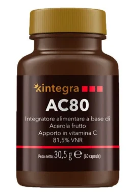 AC80 60CPS KINTEGRAVIT
