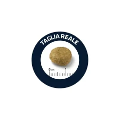 Advance Veterinary Diets Atopic Medium-Maxi Crocchette Per Cani Taglia Media/Maxi Sacco 3kg