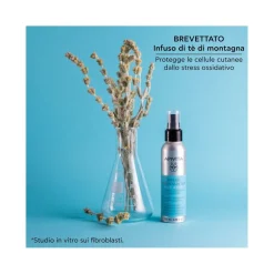 Apivita Acqua Viso Antiossidante Tè Di Montagna 100ml