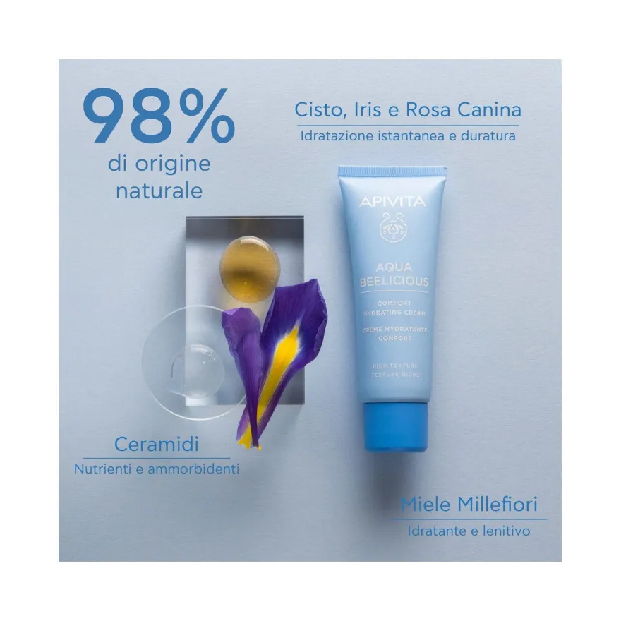 Apivita Crema Comfort Idratante Texture Ricca 40ml
