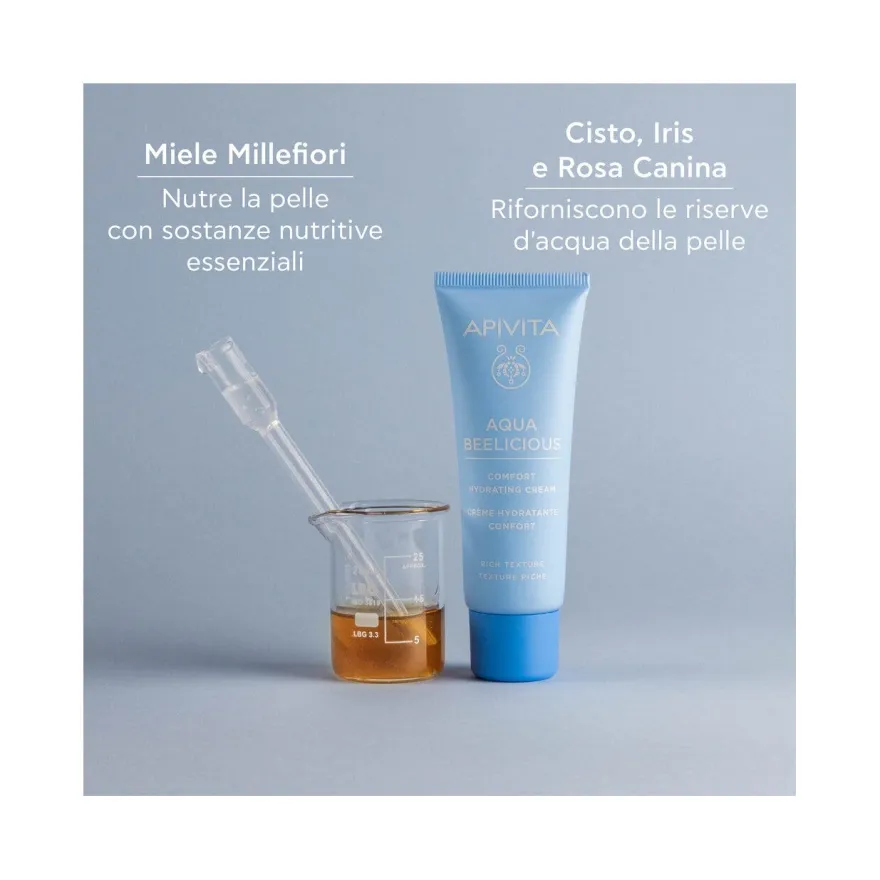 Apivita Crema Comfort Idratante Texture Ricca 40ml