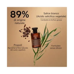 Apivita Shampoo Forfora Grassa Per Capelli 250ml