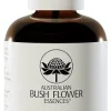 AUS BUSH PASSION LOVE VAP 50ML