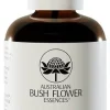 AUS BUSH TRAVEL VAPORIZZATORE