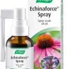 Avogel Echinaforce Spray 30ml