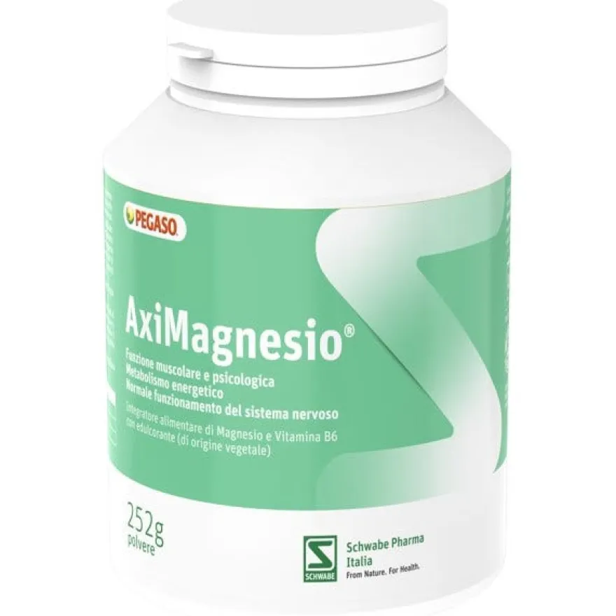 Aximagnesio Polvere 252g