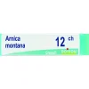 Boiron Arnica Montana Globuli 12Ch Dose 1g