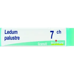 Boiron Ledum Palustre Globuli 07Ch Dose 1g