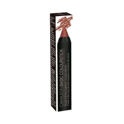 Camaleon Basic Colour Stick Terra 4g