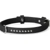 Camon Collare Con Borchiette Nero 15x450mm