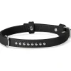Camon Collare Con Borchiette Per Cani Colore Nero 35x650mm