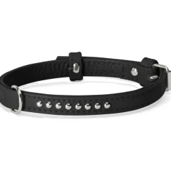 Camon Collare Con Borchiette Per Cani Colore Nero 35x650mm
