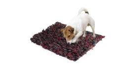 Camon Gioco Per Cani E Gatti Tappetino Genius 50x60cm