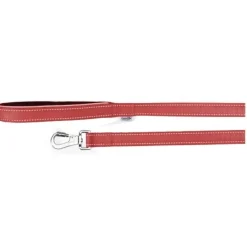 Camon Guinzaglio Con Maniglia In Neoprene E Cuciture Reflex Rosso 1,5x120cm
