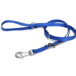 Camon Guinzaglio Da Addestramento Nylon Blu 18x2000mm