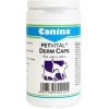 Canina Derm Caps Cane/Gatto 100 Capsule