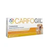 Carfogil Mangime Complementare Per Cani/Gatti 30 Compresse
