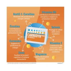 Carnidyn Plus 20 Buste