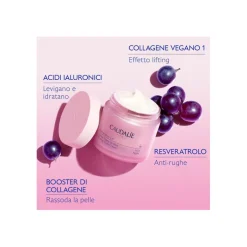 Caudalie Resveratrol-lift Crema Tisana Della Notte Ricarica 50ml