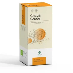 Chaga Gheos 60 Capsule