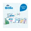 Collirio Octilia 10ml