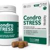 Condrostress Mobility 90 Soft Chews