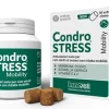 Condrostress Mobility 60 Soft Chews