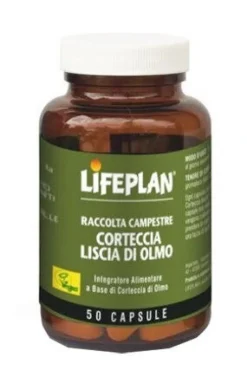 CORTECCIA LISCIA DI OLMO 50CPS