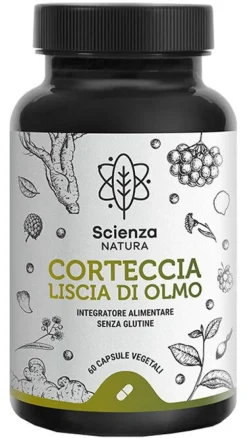 CORTECCIA LISCIA DI OLMO 60CPS