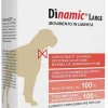 Dinamic Large Alimento Complementare Per Cani 20 Bustine