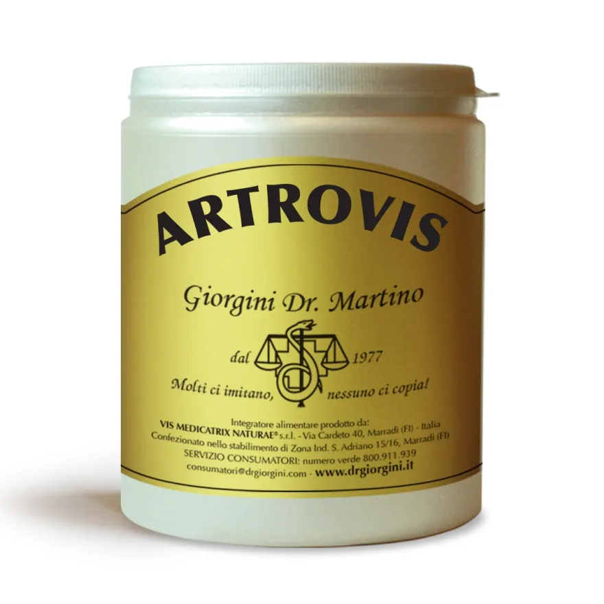 Dr Giorgini Artrovis In Polvere 360g