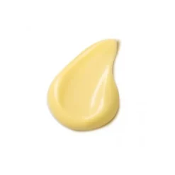 Dr Hauschka Crema Cotogna Giorno Spring 30 Ml