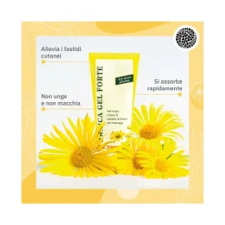 Dr Theiss Arnica Gel Forte 100ml