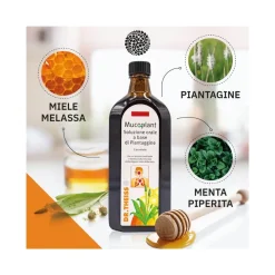Dr Theiss Piantaggine Soluzione Orale 250ml