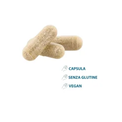 Ducray Anacaps Expert Trio 3X30 Capsule