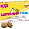 Enterina Flor Cani E Gatti 20 Compresse
