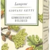 Erbamea Lampone Gemmoderivato 50ml