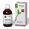 EUCALIPTO 200ML MG