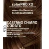 Euphidra Colorpro XD 530 Castano Chiaro Dorato