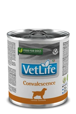 Farmina Vet Life Convalescence Cibo Umido Per Cani Lattina 300g