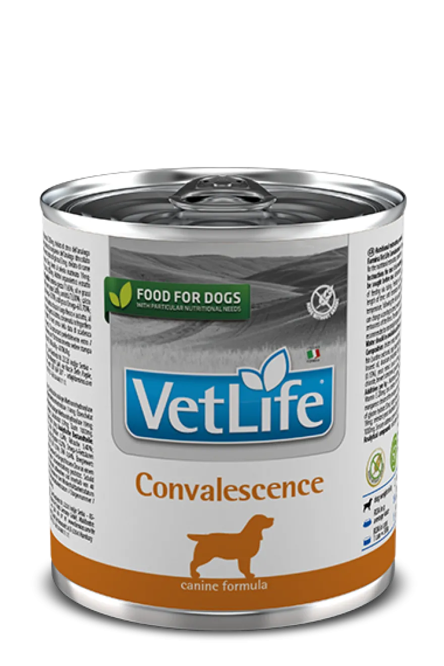 Farmina Vet Life Convalescence Cibo Umido Per Cani Lattina 300g