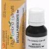 FEE BETULLA PUBESCENTE 15ML