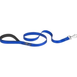 Ferplast Daytona G Guinzaglio In Nylon Impugnatura Imbottita E Porta Sacchetti Igienici Blu Per Cani G20/120