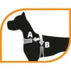 Ferplast Daytona P Pettorina In Nylon Soffice Imbottitura Taglia Media Per Cani