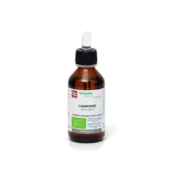 Fitomedical Lampone Macerato Glicerinato Bio 200ml