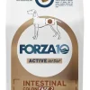 Forza10 Active Intestinal Colon Fase 2 Cibo Secco Pesce Cani Adulti Sacco 4kg