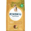Forza10 Mantenance Pollo Con Patate Crocchette Per Cani Adulti Sacco 12kg