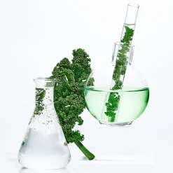 Garnier Maschera In Tessuto Ampolla Detox Estratto Cavolo Nero/Niacinamide 1 Pezzo