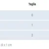 Gibaud Ortho Intellisling 15 Gradi Taglia 2
